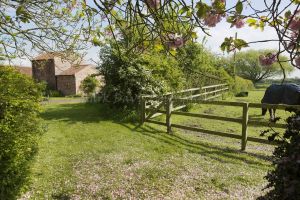 ellerton cottage two 15.jpg
